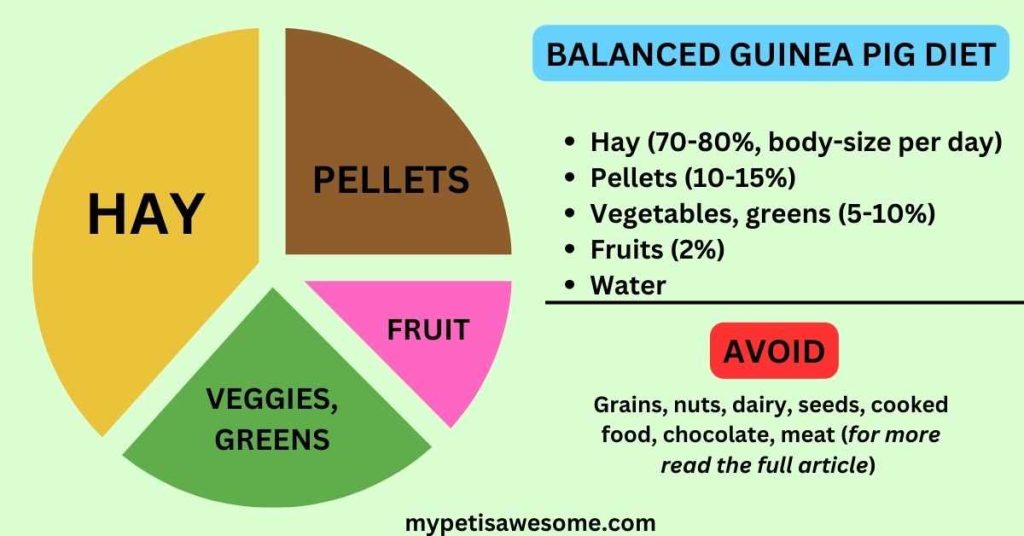 Guinea Pig Diet Chart